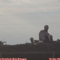 06_55-mast.jpg