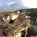 07_00-nest.jpg