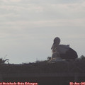 07_05-mast.jpg