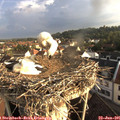 07_10-nest.jpg