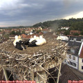 07_45-nest.jpg