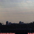 08_00-mast.jpg
