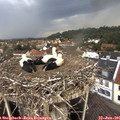 08_00-nest.jpg