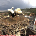 10_05-nest.jpg