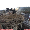 11_05-nest.jpg