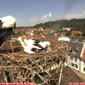 12_10-nest.jpg