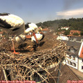 12_30-nest.jpg