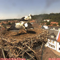 14_20-nest.jpg