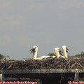 14_30-mast.jpg