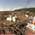 14_40-nest.jpg