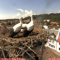 15_05-nest.jpg
