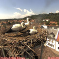 15_10-nest.jpg