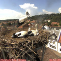 15_35-nest.jpg