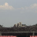 17_05-mast.jpg