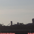 06_40-mast.jpg