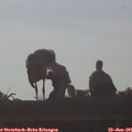 07_40-mast.jpg