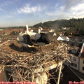 09_10-nest.jpg