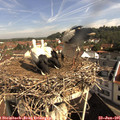 09_45-nest.jpg