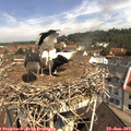 10_55-nest.jpg