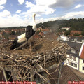 13_30-nest.jpg