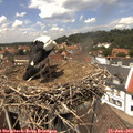 13_35-nest.jpg
