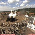 13_45-nest.jpg