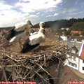 15_05-nest.jpg
