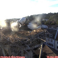 20_05-nest.jpg