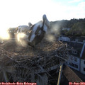 20_30-nest.jpg