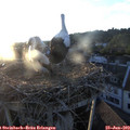 20_35-nest.jpg