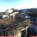 06_20-nest.jpg