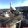 07_05-nest.jpg