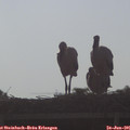 08_05-mast.jpg
