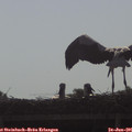 08_35-mast.jpg