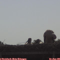 08_45-mast.jpg
