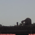 08_50-mast.jpg