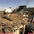 09_40-nest.jpg