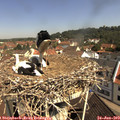 10_40-nest.jpg