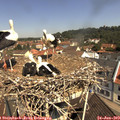 11_05-nest.jpg