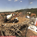 14_10-nest.jpg