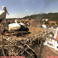 15_00-nest.jpg