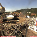 15_15-nest.jpg