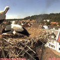 15_25-nest.jpg