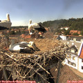 15_35-nest.jpg