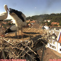 15_40-nest.jpg