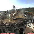 18_10-nest.jpg