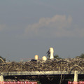 18_40-mast.jpg