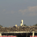18_45-mast.jpg