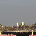 19_00-mast.jpg