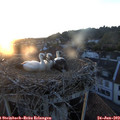 21_05-nest.jpg